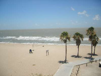 Watch Volleyball From Your Balcony