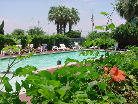Directly Above One Of The 2 Swimming Pools