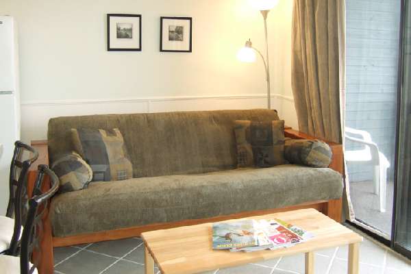 Full-sized futon sofa