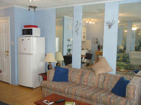 Sit On The Couch And Listen To The Gulf Breeze Blow Through The Palm Trees!