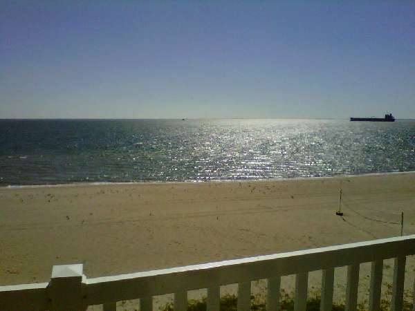 Amazing Views Daily