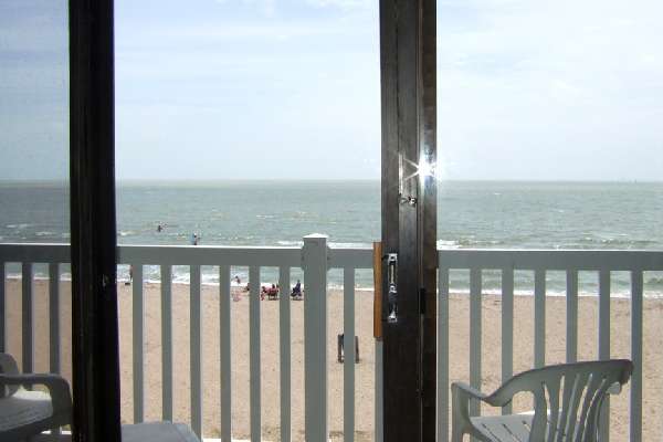 View from Living Room