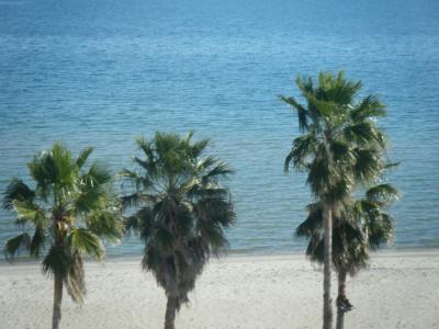 View From Balcony
