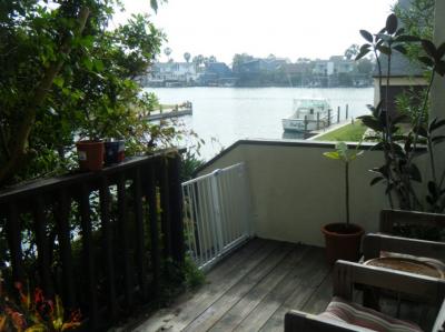 View From The Deck